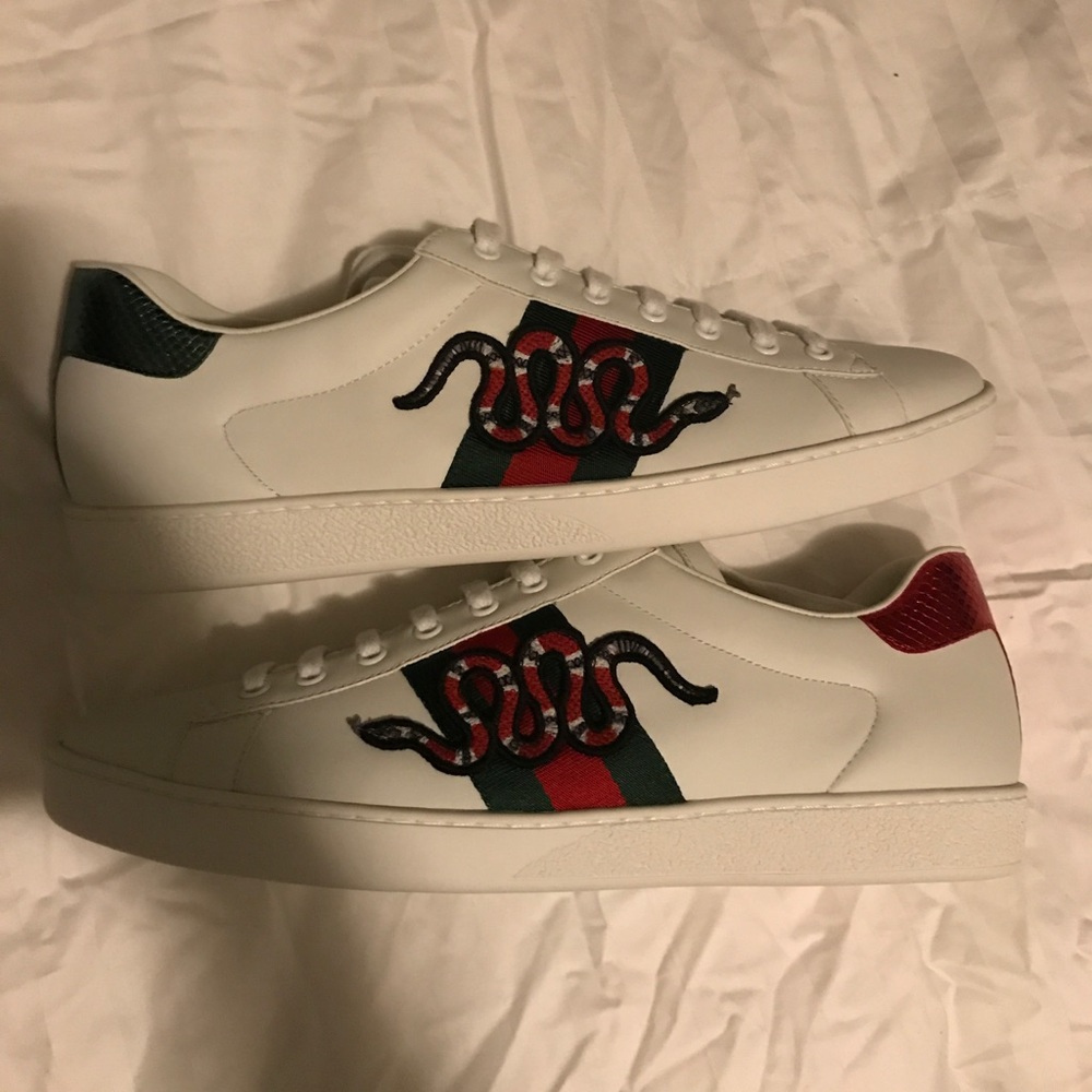 Gucci ace snake